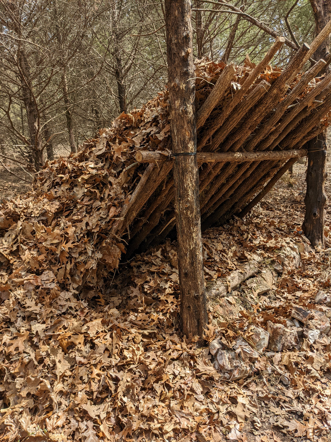 Sigma 3 survival "Survival Standard" course review