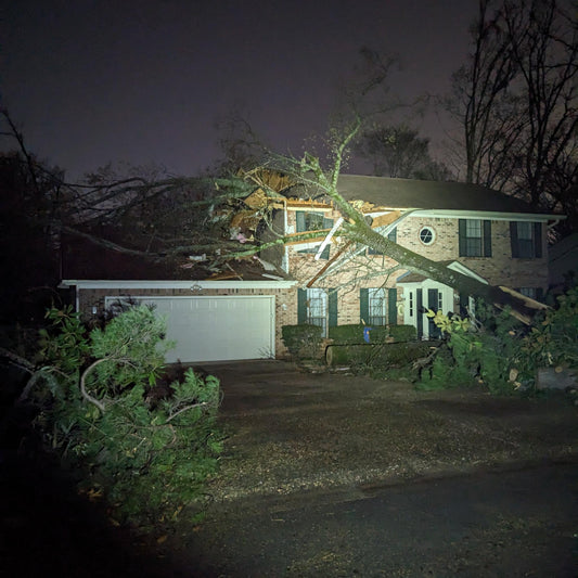 Lessons from a disaster pt3: first actions